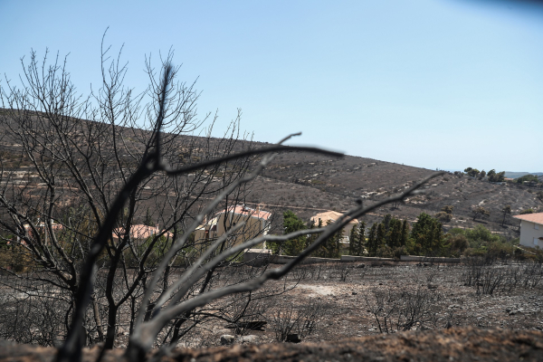 Κρατική Αρωγή: Ενεργοποιείται η πλατφόρμα arogi.gov.gr για τους πληγέντες από την πυρκαγιά στην Πεντέλη