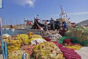 Λάρισα: Υποχρεωτική η μηνιαία δήλωση παραγωγής για τους αλιείς